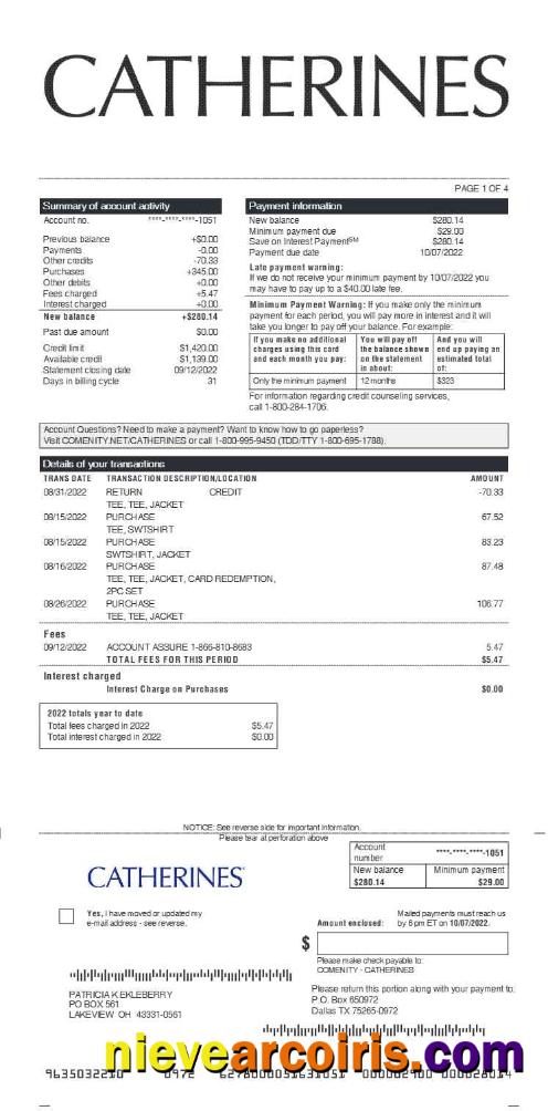 CATHERINES earnings statement